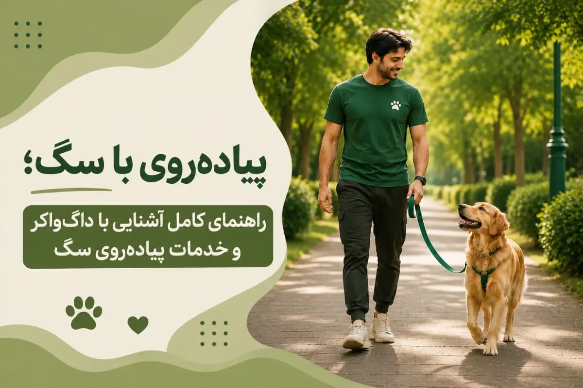 پیاده‌روی با سگ؛ راهنمای کامل آشنایی با داگ‌واکر و خدمات پیاده‌روی سگ